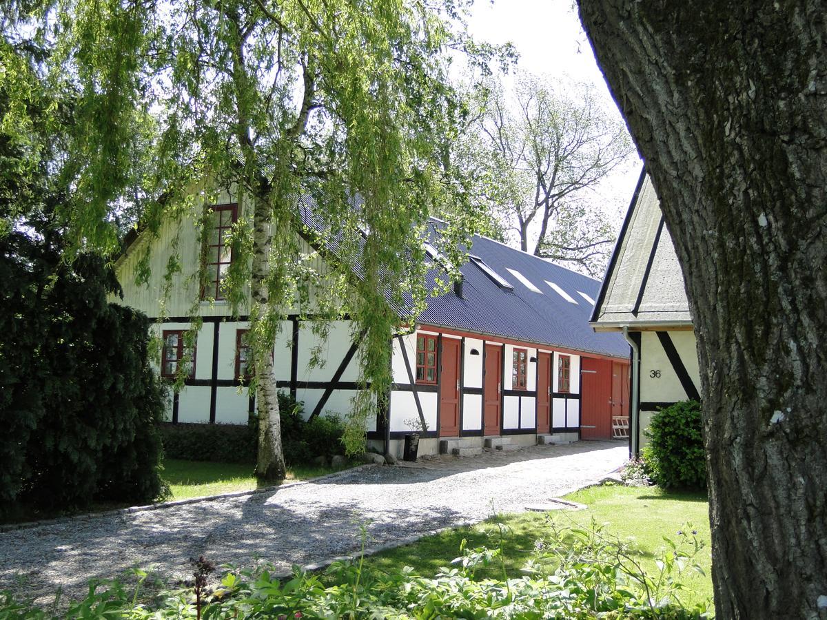 Dyssegaard B&B Skallerup Экстерьер фото